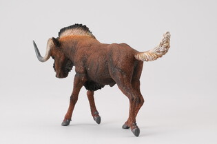 COLLECTA GNU BIAŁOOGONOWE 3