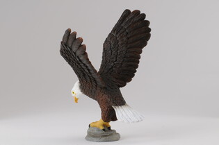 COLLECTA BIELIK AMERYKAŃSKI 4