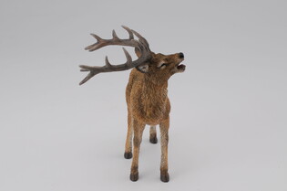 COLLECTA JELEŃ ROGACZ 5