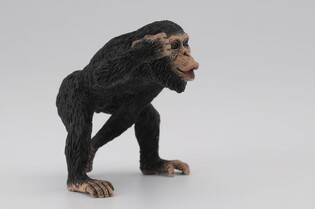 COLLECTA SZYMPANS SAMIEC 3