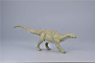 COLLECTA INGENTIA PRIMA - SKALA 1:40 3