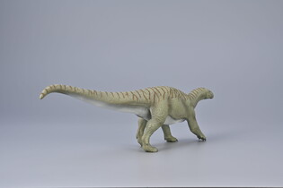 COLLECTA INGENTIA PRIMA - SKALA 1:40 5