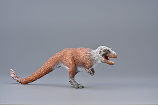 COLLECTA NANQSAURUS POLUJĄCY 3