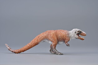 COLLECTA NANQSAURUS POLUJĄCY 4