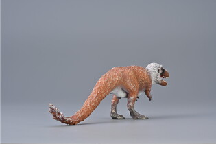 COLLECTA NANQSAURUS POLUJĄCY 5