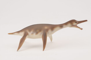 COLLECTA DINOZAUR DOLICHORHYNCHOPS 4