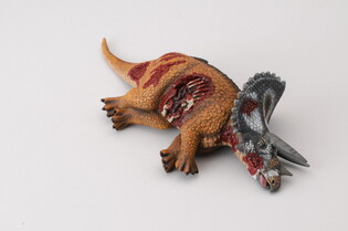 COLLECTA DINOZAUR TRICERATOPS (OFIARA) 3