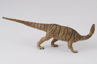 COLLECTA DINOZAUR KAMPTOZAUR 5