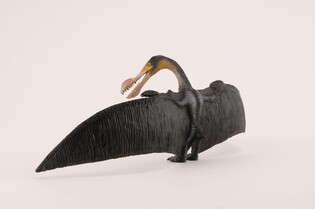COLLECTA DINOZAUR ORNITOCHEIR 3