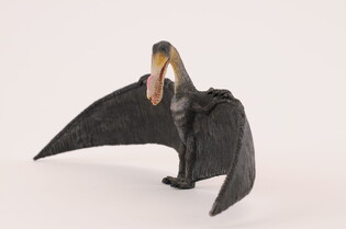 COLLECTA DINOZAUR ORNITOCHEIR 4
