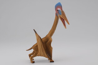 COLLECTA DINOZAUR HATZEGOPTERYX 4