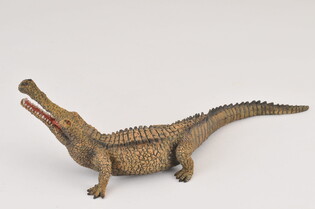 COLLECTA SARCOZUCH 5