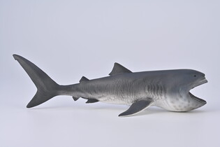 COLLECTA REKIN WIELKOGĘBOWY 6