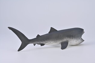 COLLECTA REKIN WIELKOGĘBOWY 7