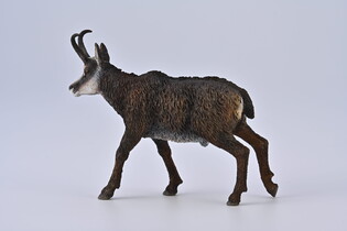 COLLECTA KOZICA PÓŁNOCNA 3