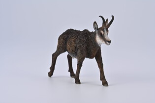 COLLECTA KOZICA PÓŁNOCNA 4