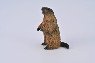 COLLECTA ŚWISTAK 3