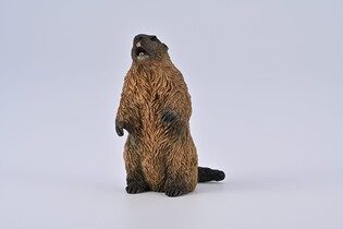 COLLECTA ŚWISTAK 5
