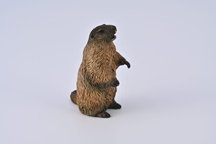 COLLECTA ŚWISTAK 6
