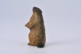 COLLECTA ŚWISTAK 7