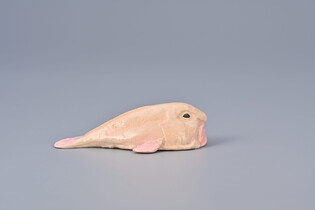 COLLECTA PSYCHOROLUTES MARCIDUS (BLOBFISH)
 5