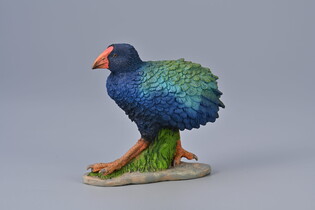COLLECTA TAKAHE POŁUDNIOWY 3