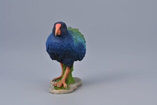 COLLECTA TAKAHE POŁUDNIOWY 4