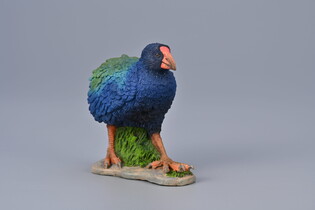 COLLECTA TAKAHE POŁUDNIOWY 5