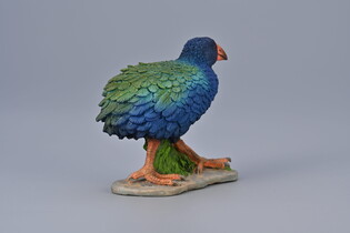 COLLECTA TAKAHE POŁUDNIOWY 6
