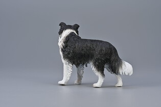 COLLECTA BORDER COLLIE
 3