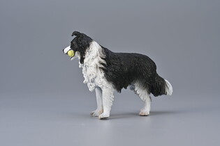 COLLECTA BORDER COLLIE
 4
