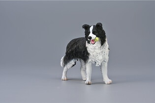 COLLECTA BORDER COLLIE
 5