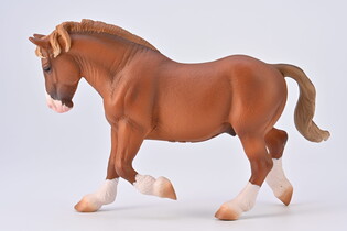 COLLECTA OGIER BRETOŃSKI MAŚCI KASZTANOWEJ 3
