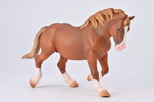 COLLECTA OGIER BRETOŃSKI MAŚCI KASZTANOWEJ 4
