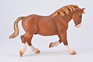 COLLECTA OGIER BRETOŃSKI MAŚCI KASZTANOWEJ 5