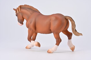 COLLECTA OGIER BRETOŃSKI MAŚCI KASZTANOWEJ 6