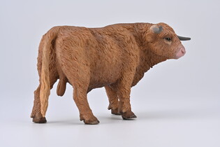 COLLECTA BYK SZKOCKIEJ RASY WYŻYNNEJ 3