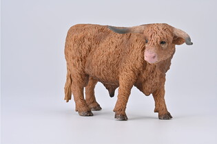 COLLECTA BYK SZKOCKIEJ RASY WYŻYNNEJ 4