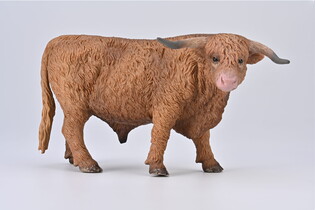 COLLECTA BYK SZKOCKIEJ RASY WYŻYNNEJ 5