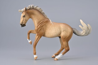 COLLECTA OGIER LUSITANO PRZYDYMIONEJ MAŚCI IZABELOWATEJ 3