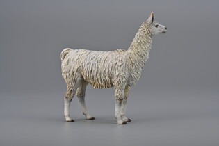 COLLECTA LAMA 5