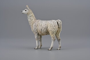 COLLECTA LAMA 6