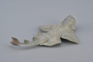 COLLECTA RASZPLA ZWYCZAJNA 6