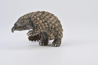 COLLECTA ŁUSKOWIEC 4