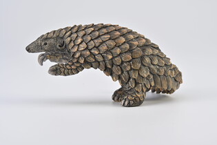 COLLECTA ŁUSKOWIEC 5