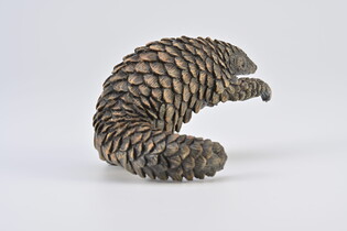 COLLECTA ŁUSKOWIEC 6