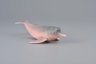 COLLECTA INIA AMAZOŃSKA 5