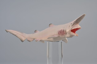 COLLECTA MISUKURINA 6