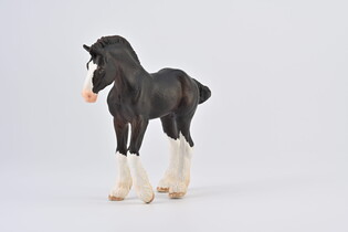 COLLECTA ŹREBIĘ CLYDESDALE MAŚCI CZARNEJ 4