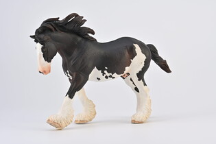 COLLECTA OGIER CLYDESDALE MAŚCI BLACK SABINO 3